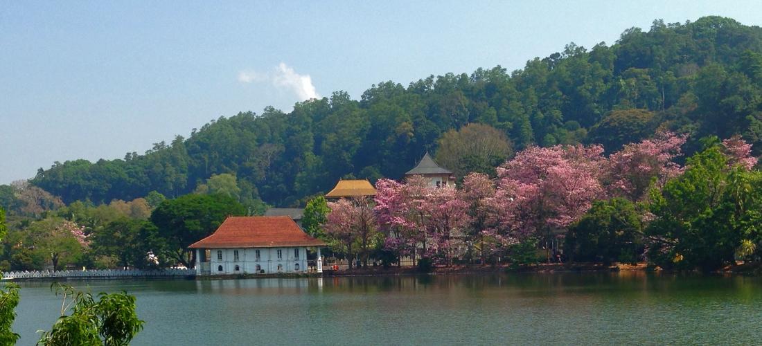Red Chillies Tourist Inn Канди Экстерьер фото